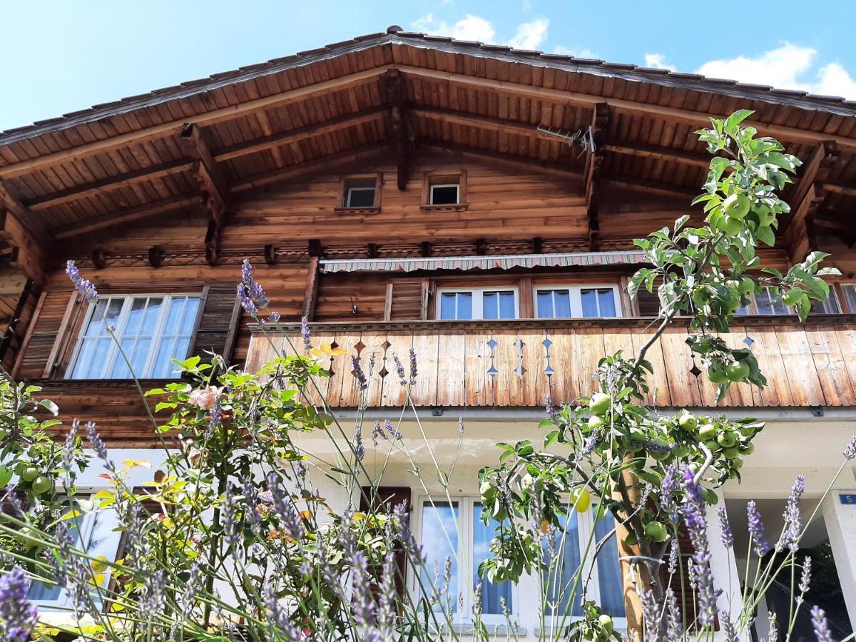 Cozy Chalet By Interlaken. Parking リングゲンベルク エクステリア 写真